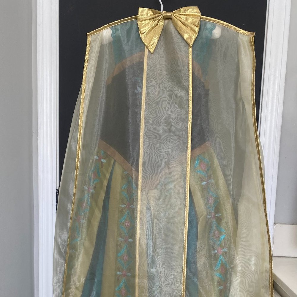 Disney/Chasing Fireflies Anna Ball Gown- costume